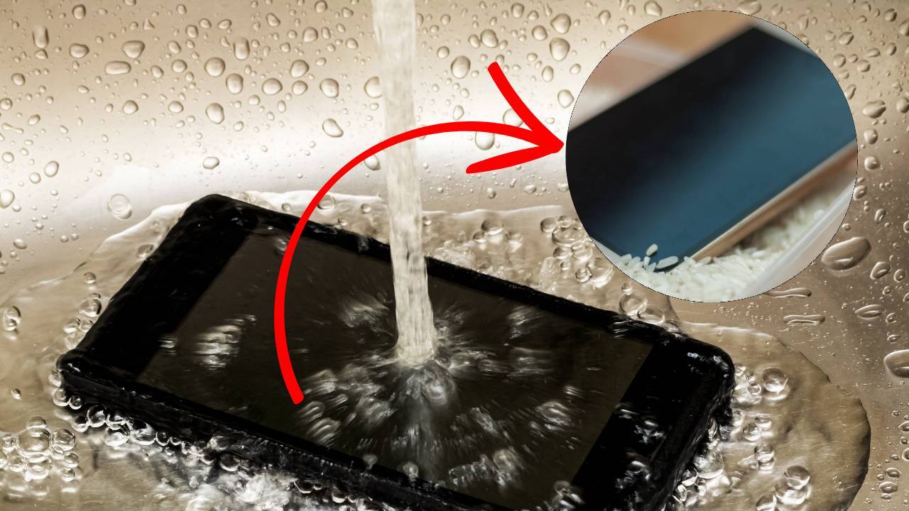 Saiba como salvar um celular que caiu na água: faça ISSO imediatamente e evite prejuízos